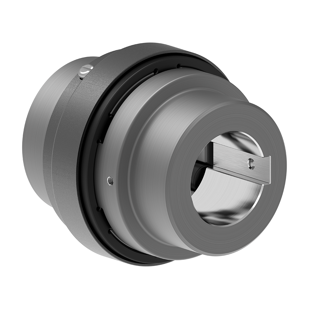 Image Elastomer Jaw Couplings RINGFEDER® RLES SW