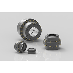 Image Gear Couplings RINGFEDER® RLZ