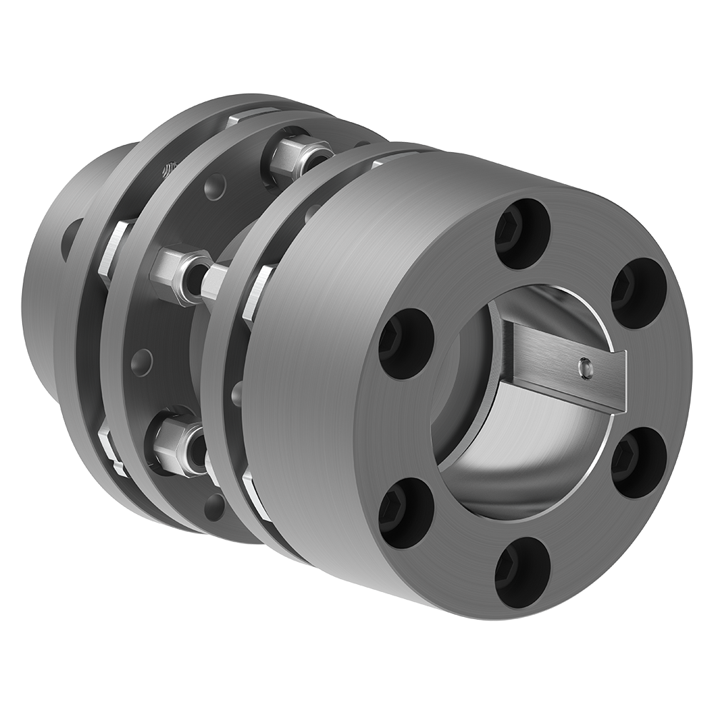 Image Steel Disc Couplings RINGFEDER® RLDS BSB