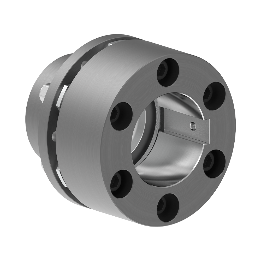 Image Steel Disc Couplings RINGFEDER® RLDS BWB