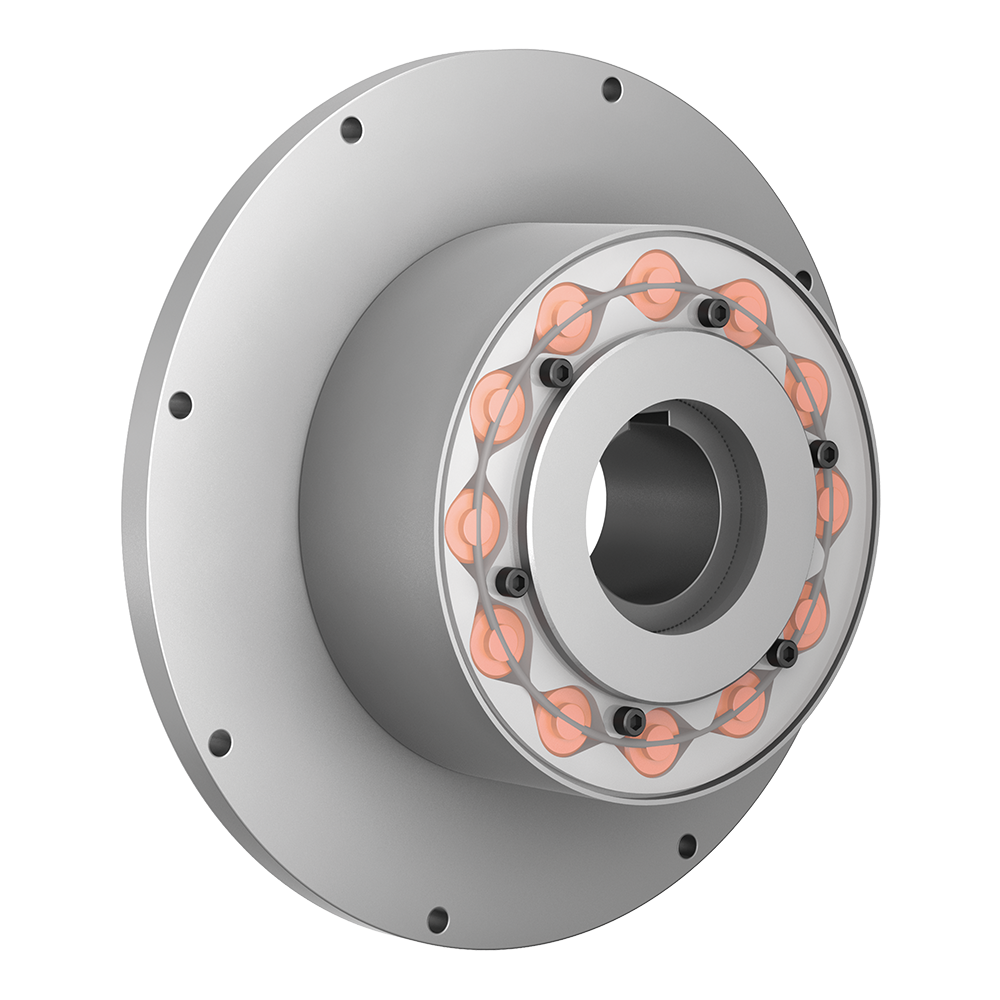 Image Torsional Highflex Couplings RINGFEDER® TNR 2425.1
