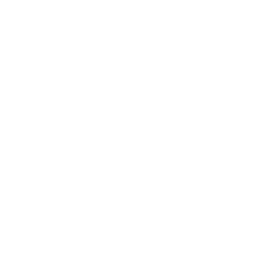 Logo RINGFEDER POWER TRANSMISSION (PNG; white; suitable for web usage)