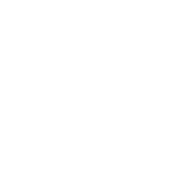 Logo RINGFEDER® (PNG; white; suitable for web usage)