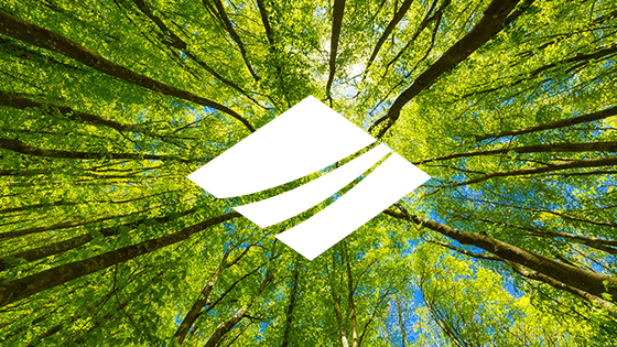 RINGFEDER POWER TRANSMISSION Implements Environmental Management System according to DIN EN ISO 14001:2015 | RINGFEDER&reg;