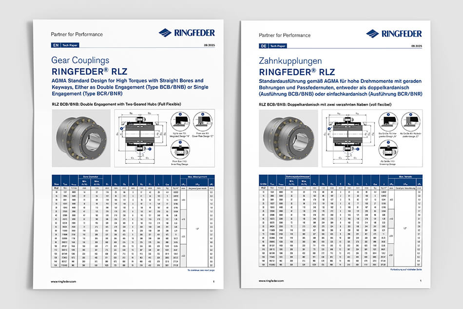 Gear Couplings RLZ: Your Benefits at a Glance | RINGFEDER®